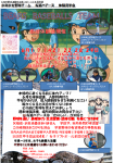 本格的な夏の前に体力アップ！